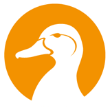 Duck meat