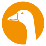 Goose meat